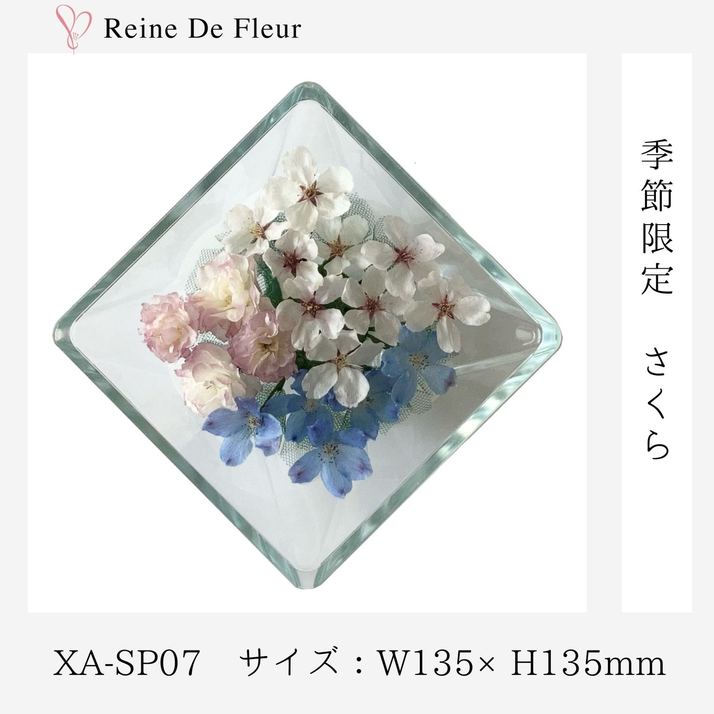 XA-SP07 さくら 季節・数量限定/桜 ボトル/ドライフラワー
