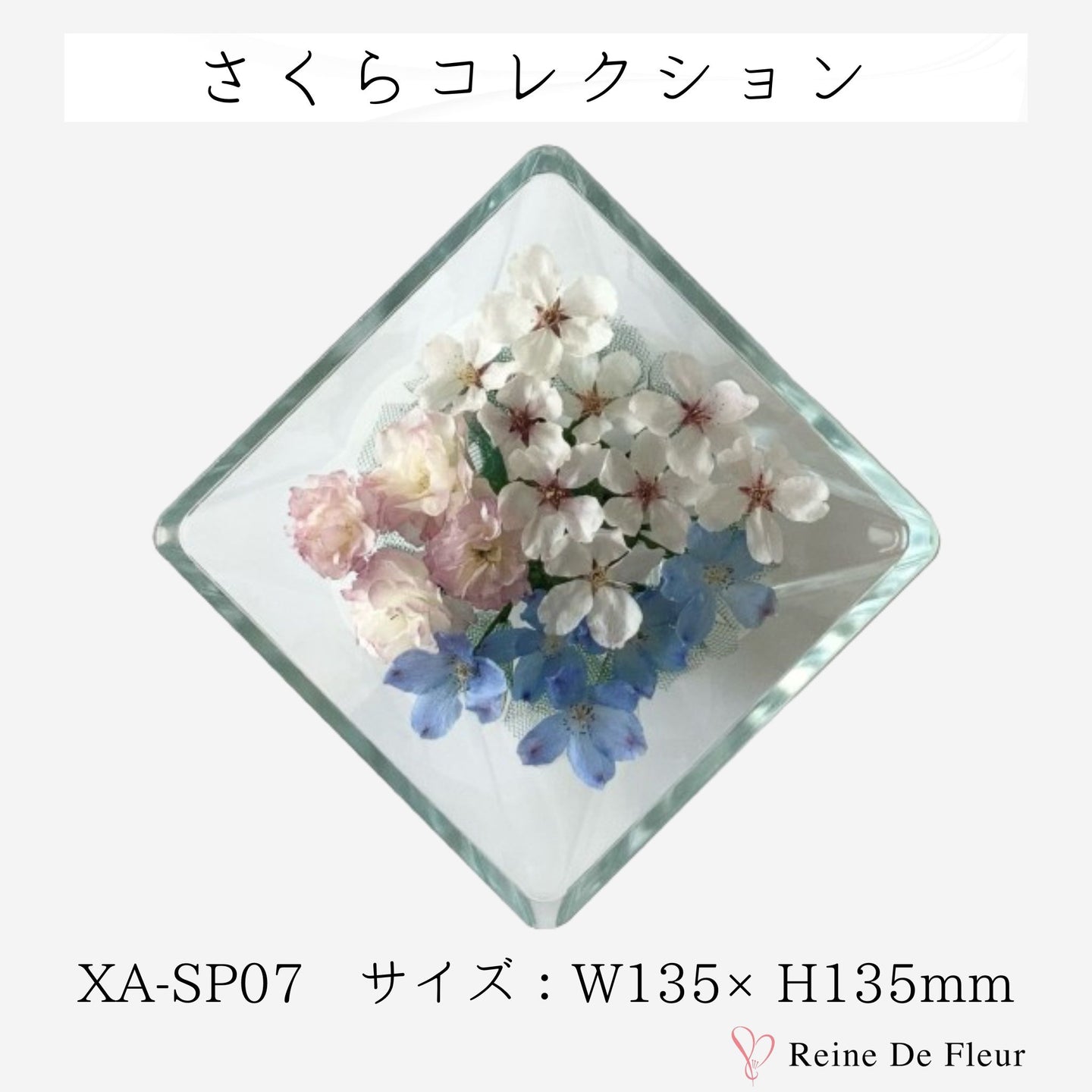 XA-SP07 さくらコレクション/桜 ボトル/ドライフラワー