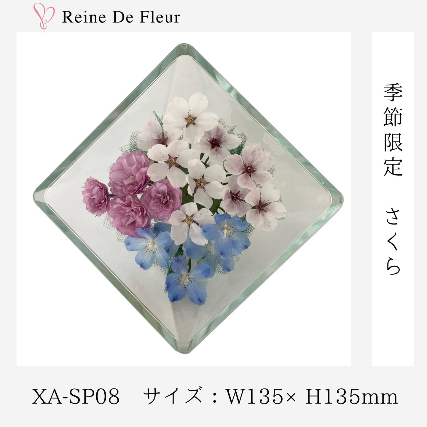 XA-SP08 さくら 季節・数量限定/桜 ボトル/ドライフラワー