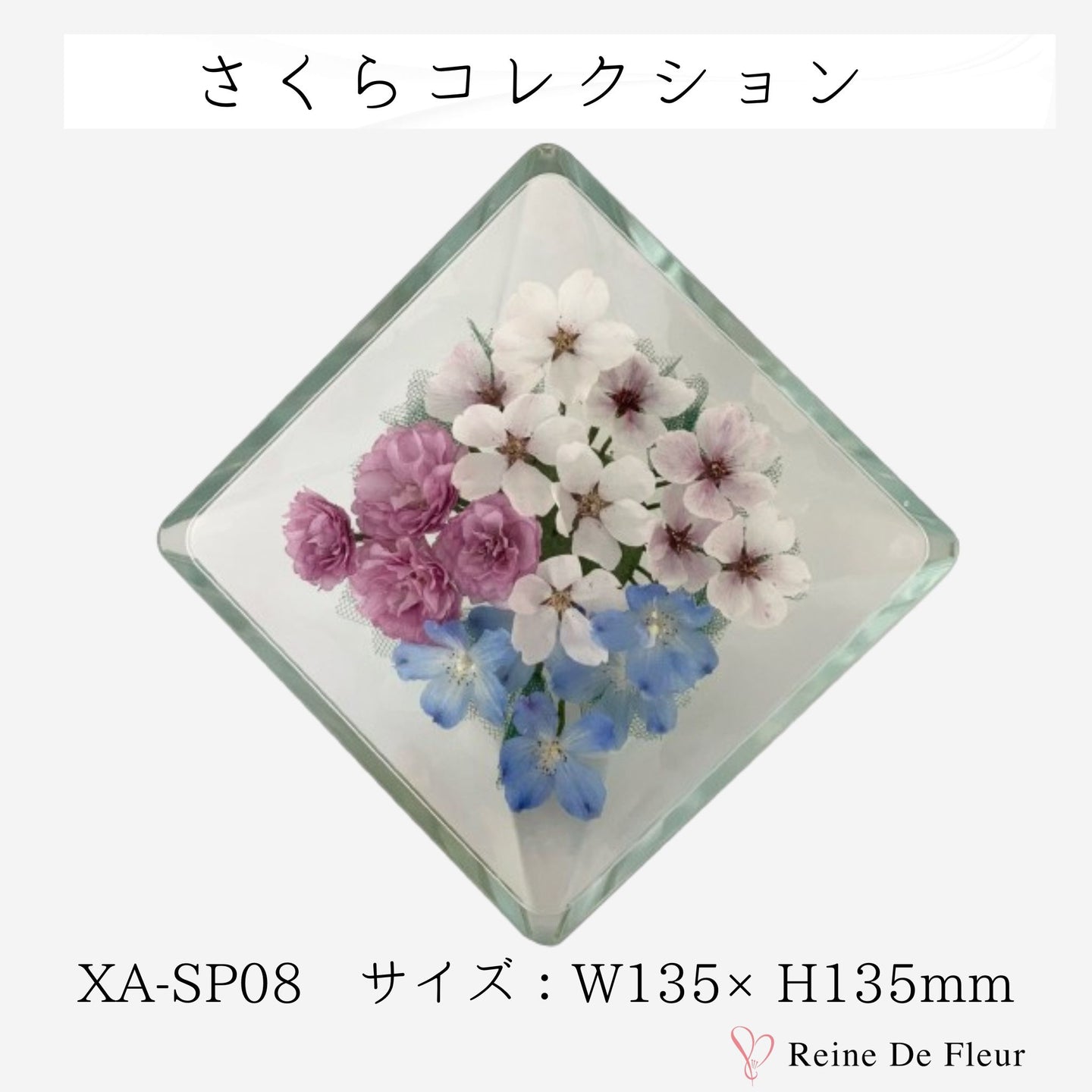 XA-SP08 さくらコレクション/桜 ボトル/ドライフラワー