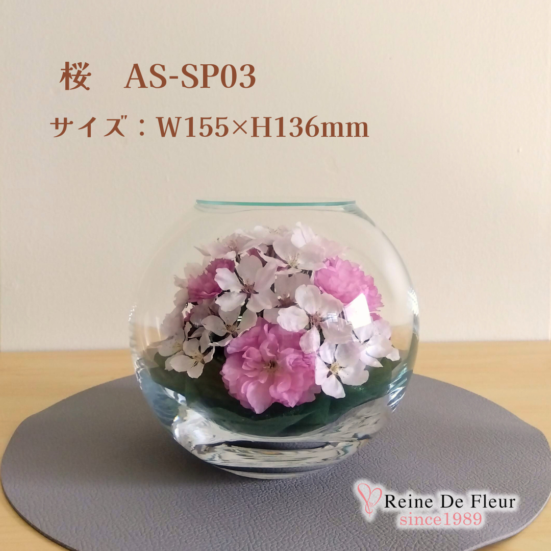 さくら Bowl MS(AS-SP03)
