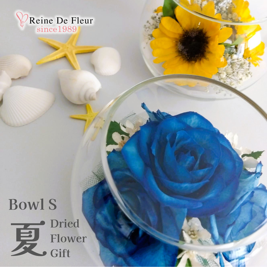 夏 Bowl S(S-SU03)