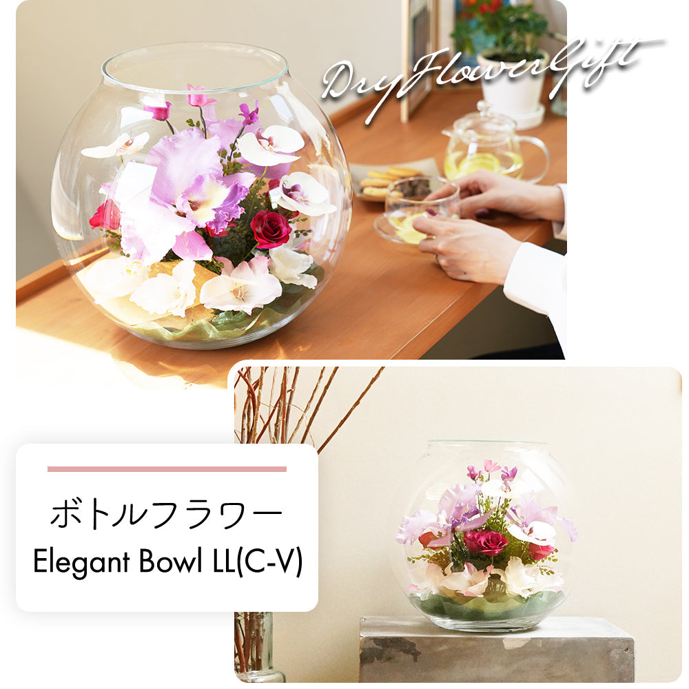 Elegant Bowl LL(C-V)