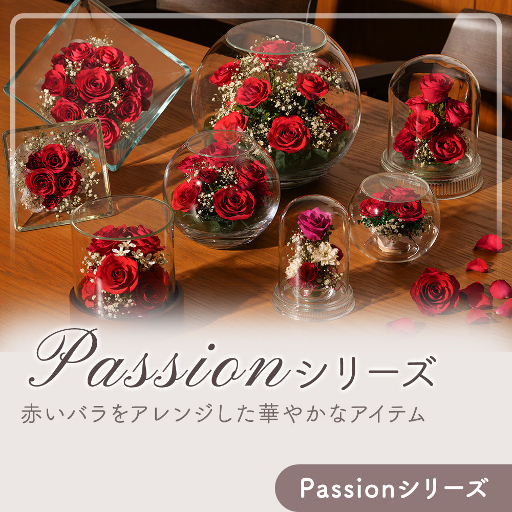 Passion Bowl S(S-B)