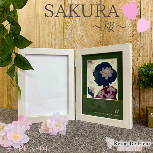 さくら押花 Pressed sakura  (PF-SP01)