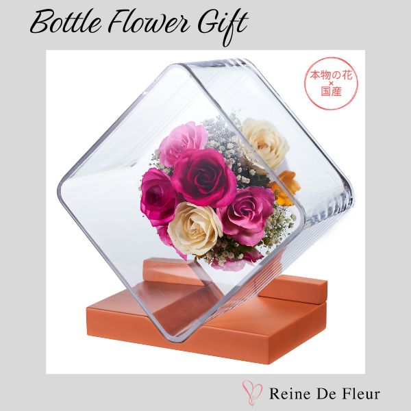 Online Limited – レンデフロール