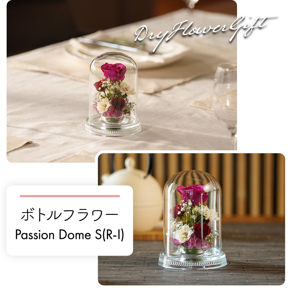 Passion Dome S(R-I)