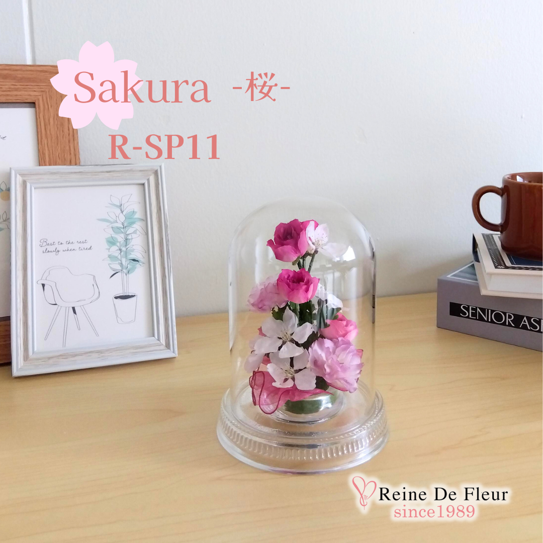 さくら Dome S(R-SP11)