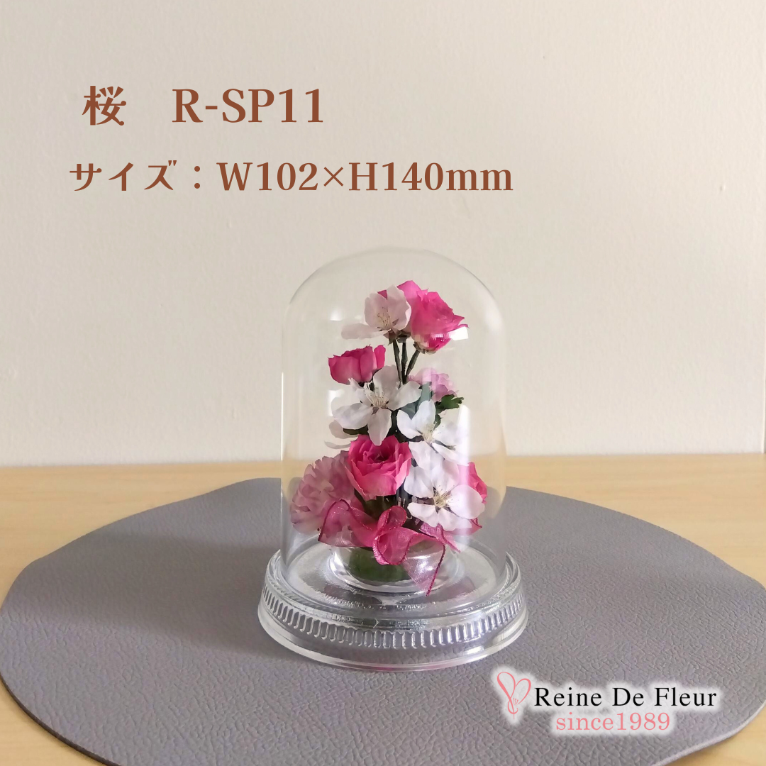 さくら Dome S(R-SP11)