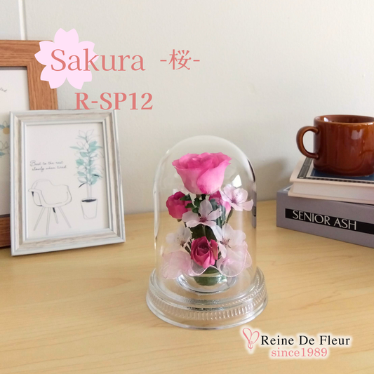 さくら Dome S(R-SP12)