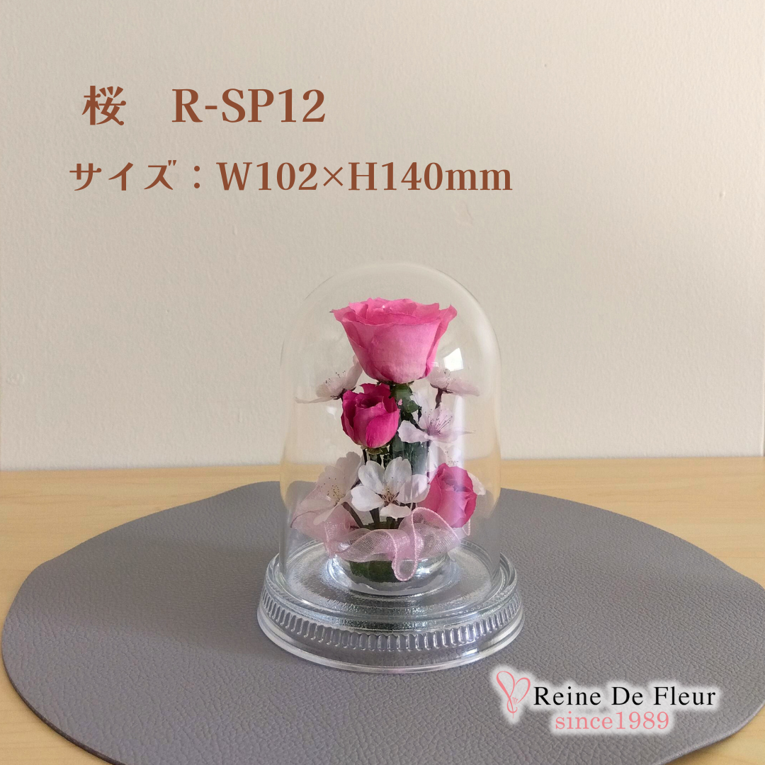 さくら Dome S(R-SP12)