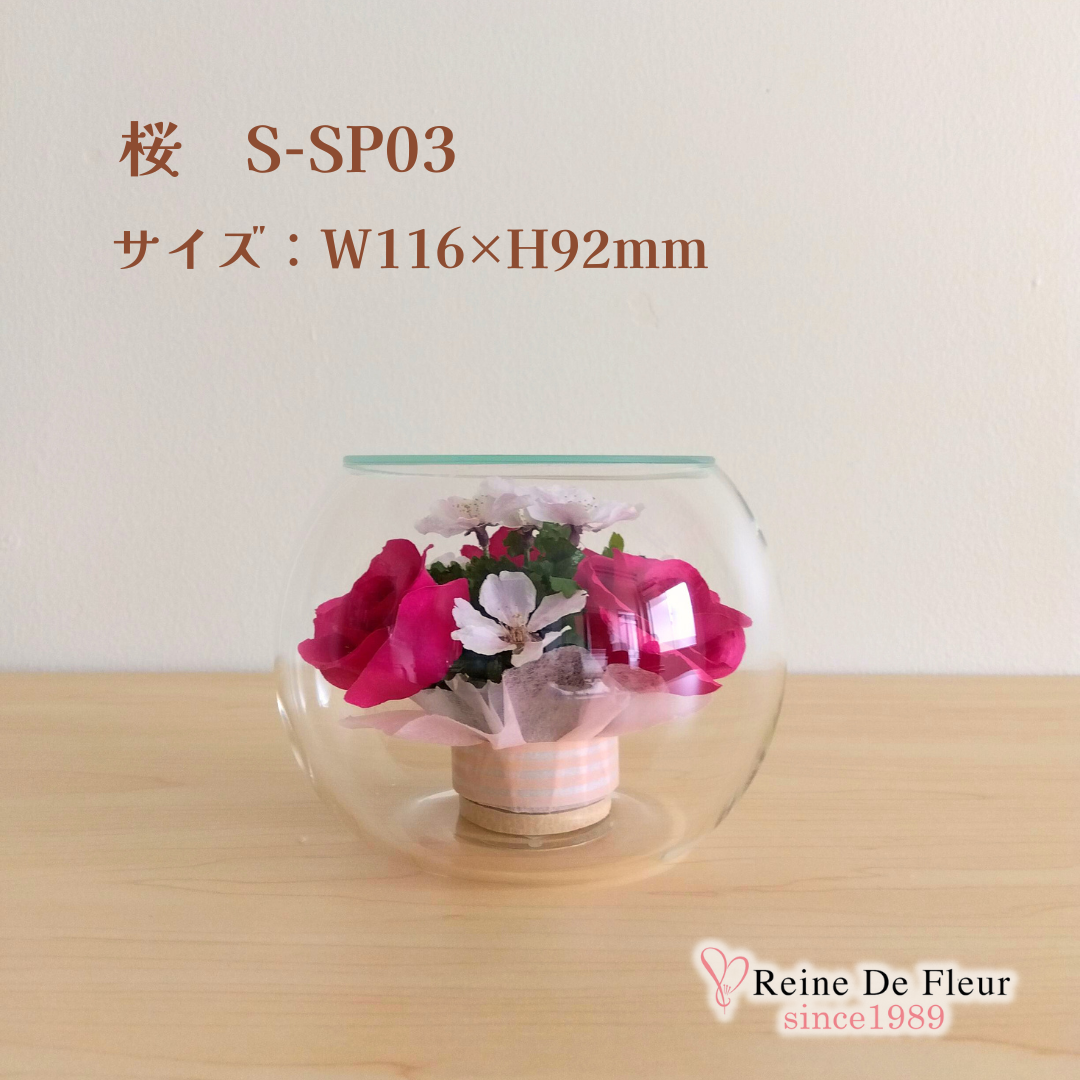 さくら Bowl S(S-SP03)