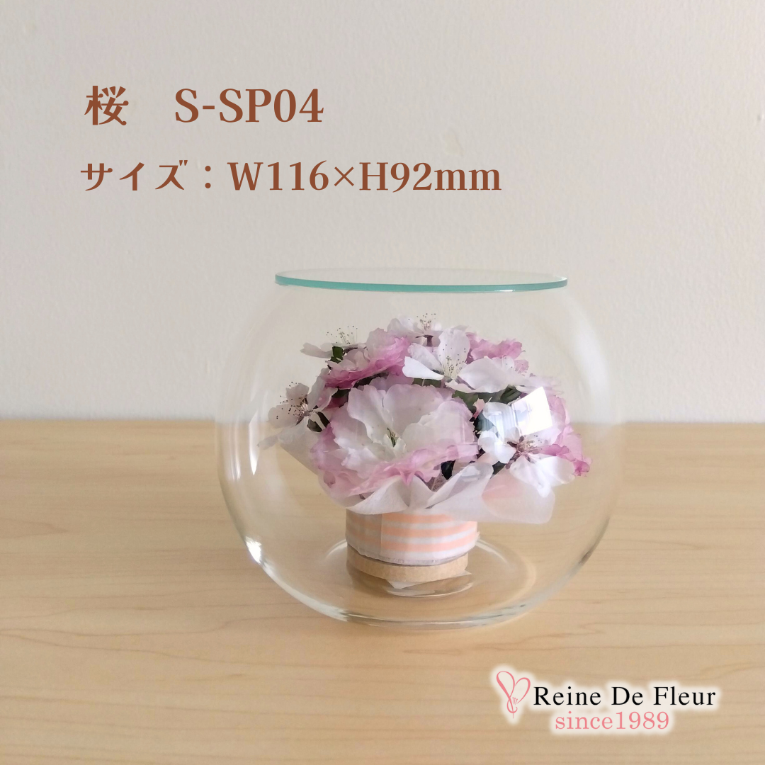 さくら Bowl S(S-SP04)