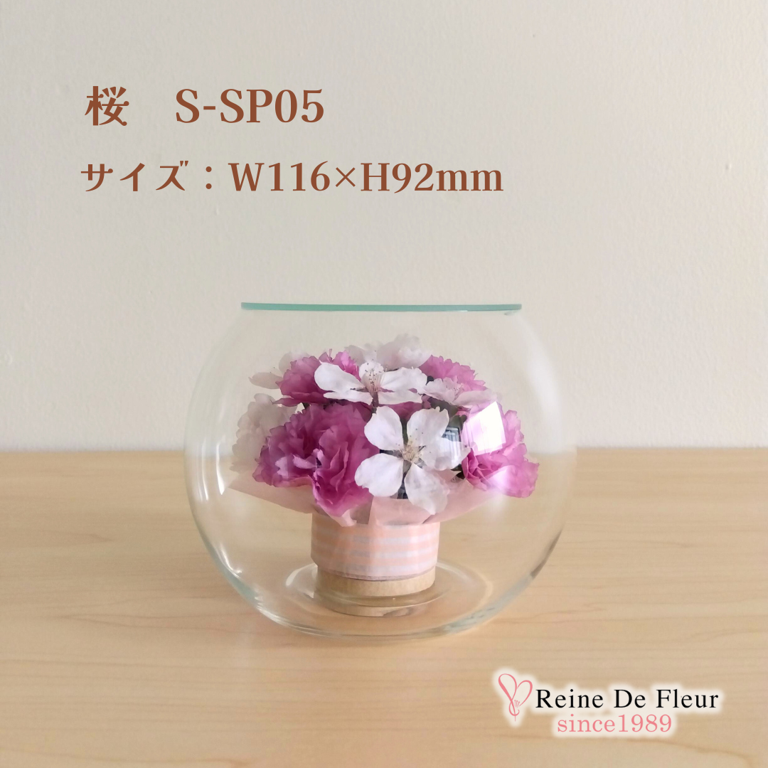 さくら Bowl S(S-SP05)