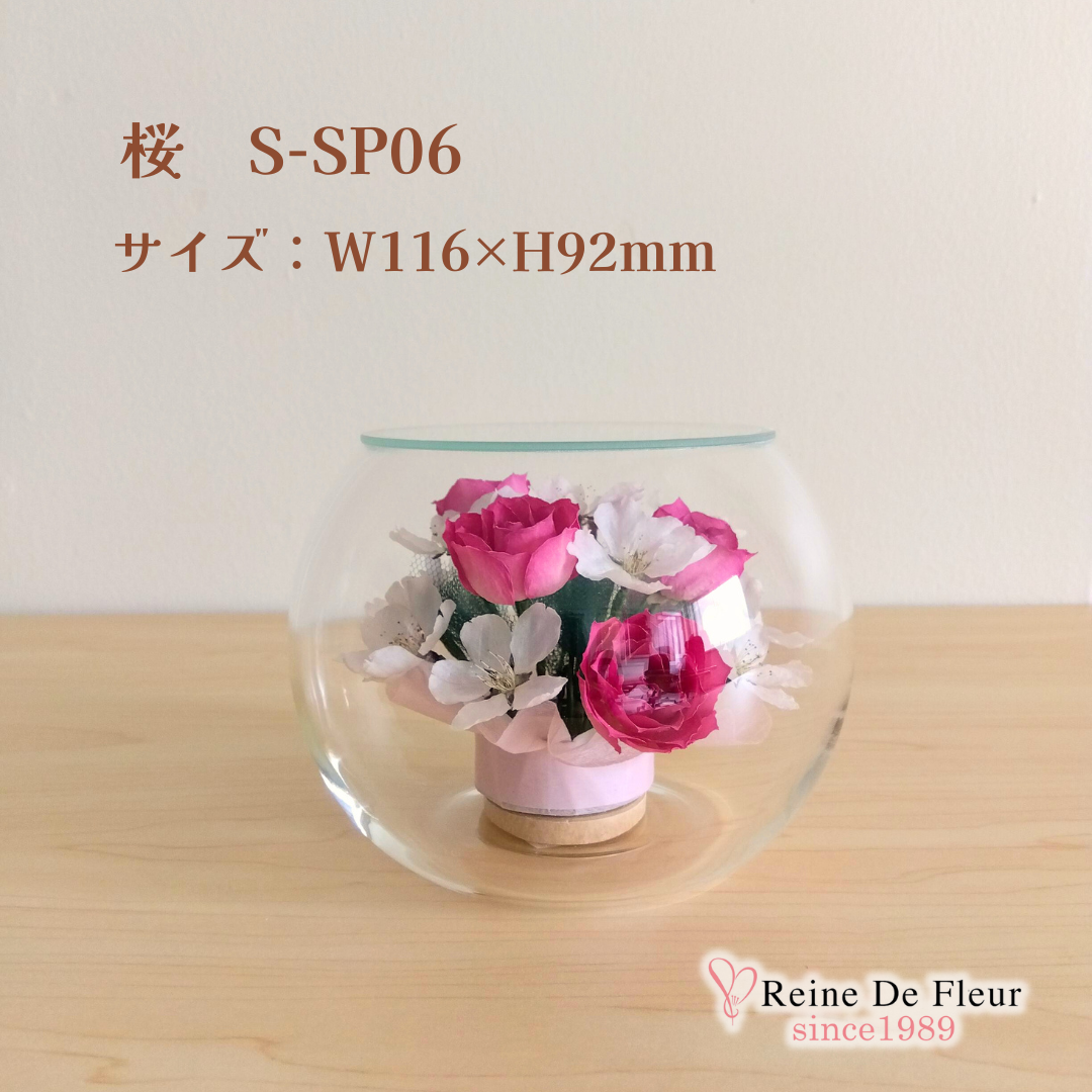 さくら Bowl S(S-SP06)