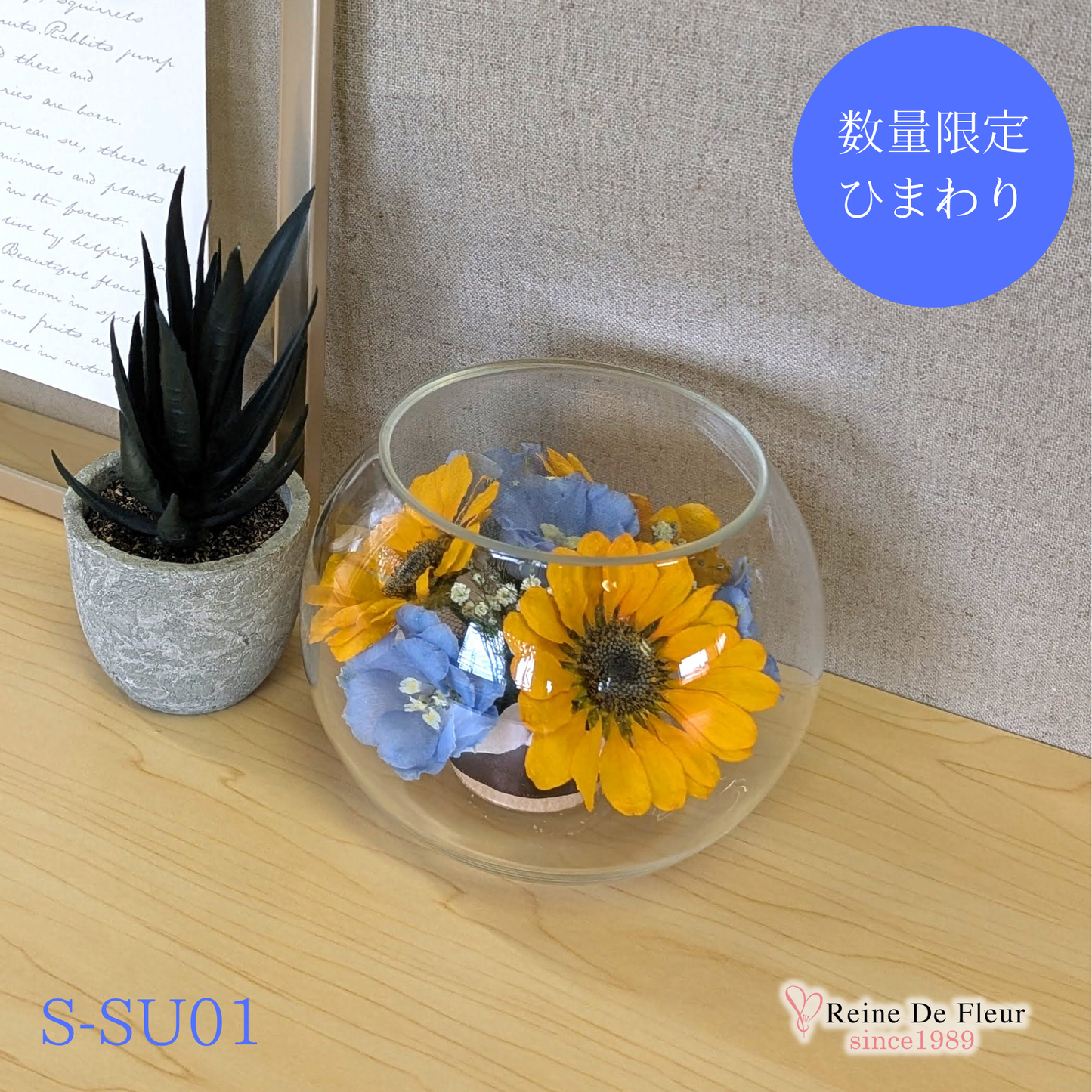 ひまわり Bowl S(S-SU01)