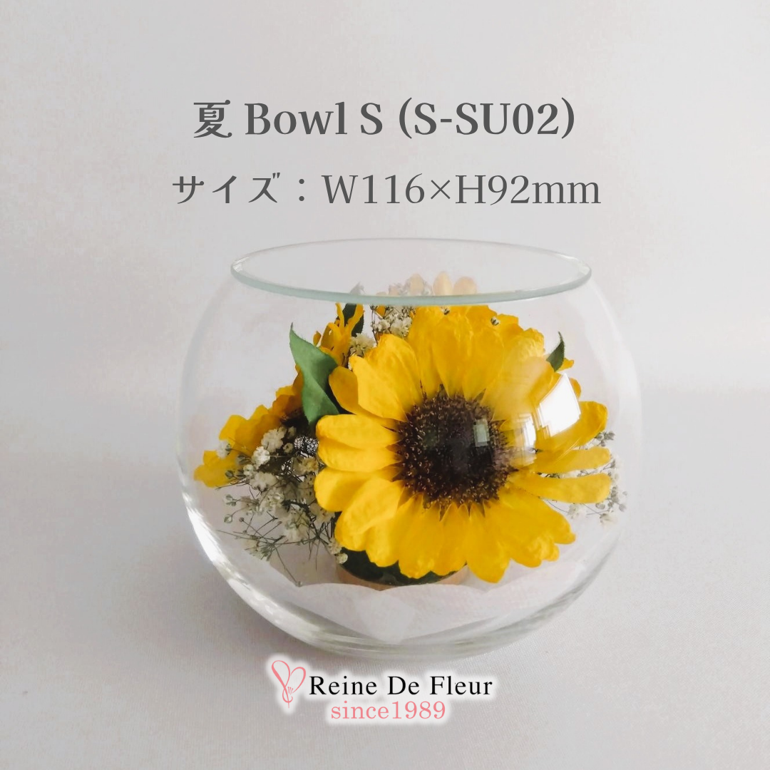 夏 Bowl S(S-SU02)