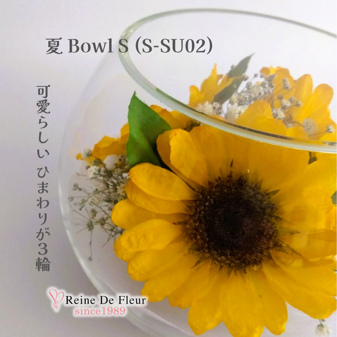夏 Bowl S(S-SU02)