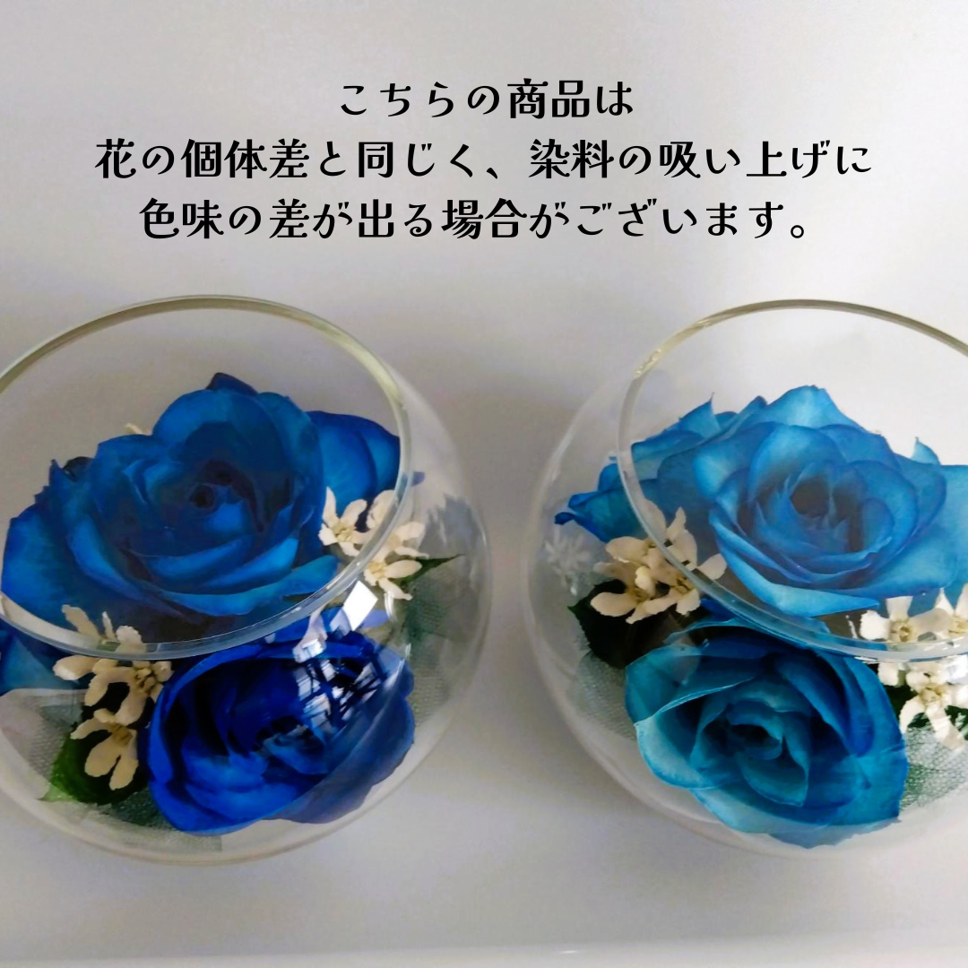 夏 Bowl S(S-SU03)
