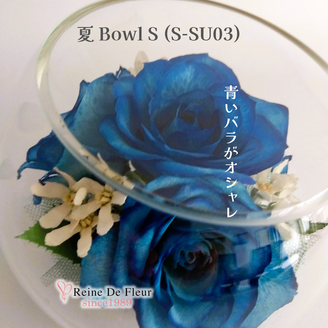 夏 Bowl S(S-SU03)