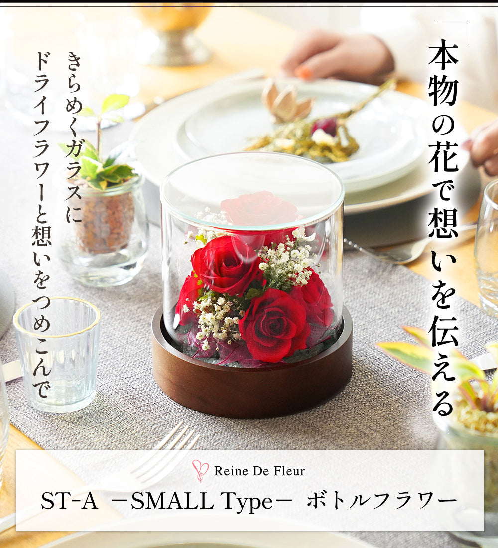 ST-A ドライフラワー スモール 直径13.5cm