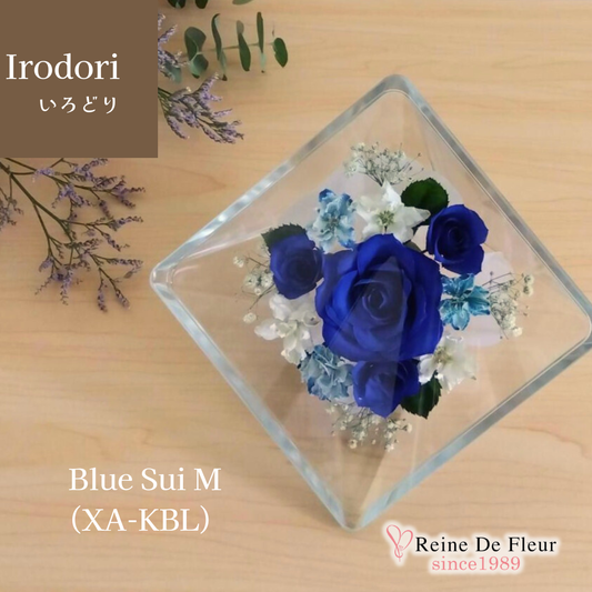 Irodori Blue Sui M(XA-KBL)