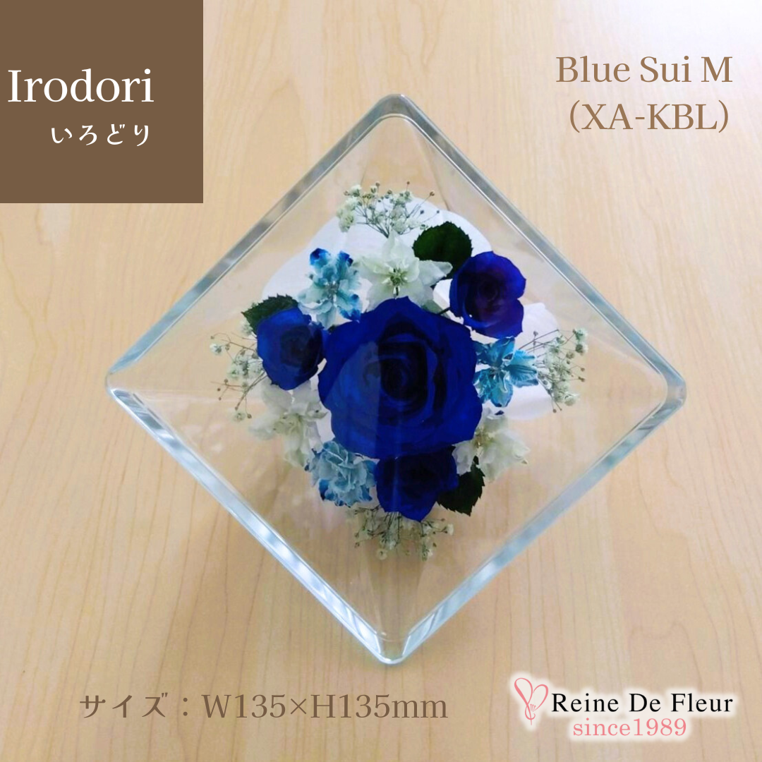 Irodori Blue Sui M(XA-KBL)