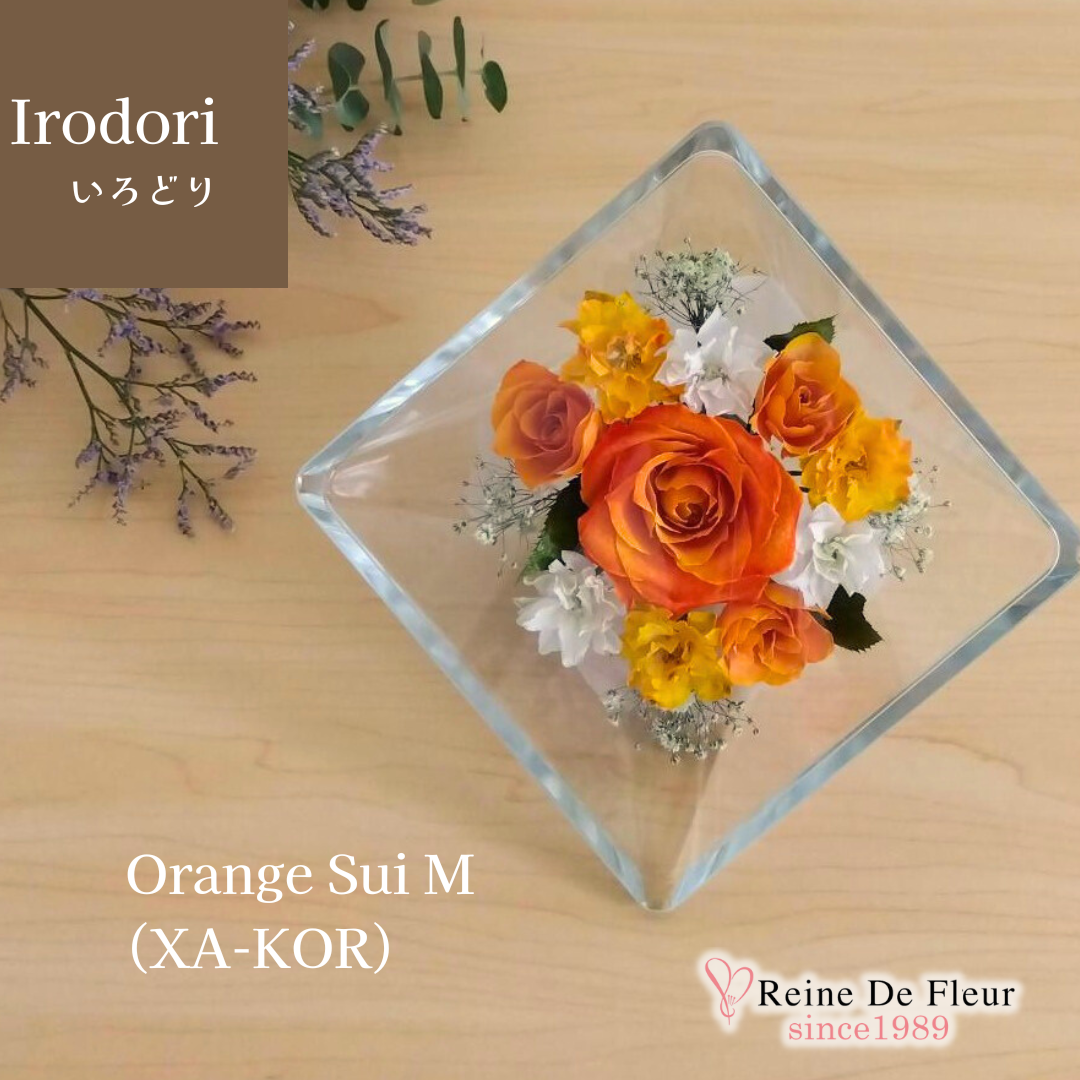 Irodori Orange Sui M(XA-KOR)