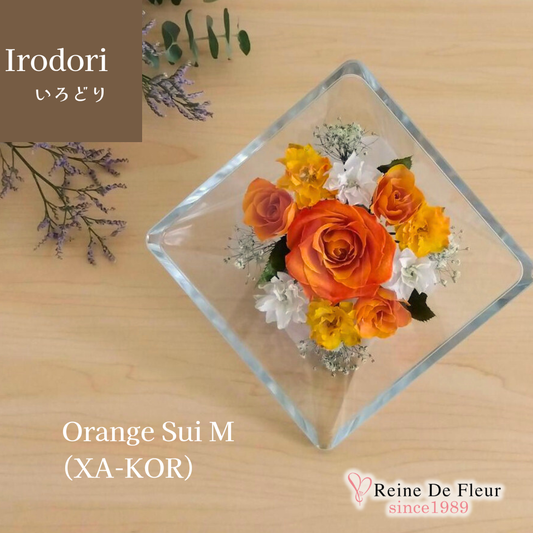 Irodori Orange Sui M(XA-KOR)