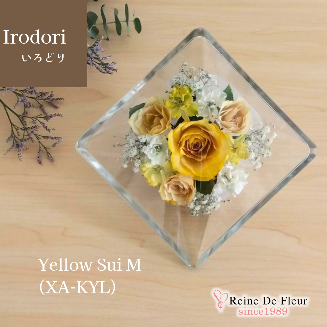Irodori Yellow Sui M(XA-KYL)