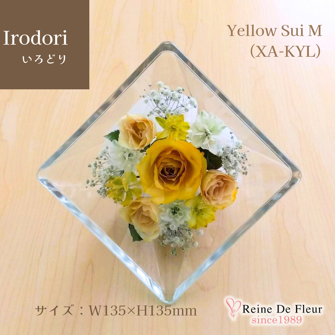 Irodori Yellow Sui M(XA-KYL)