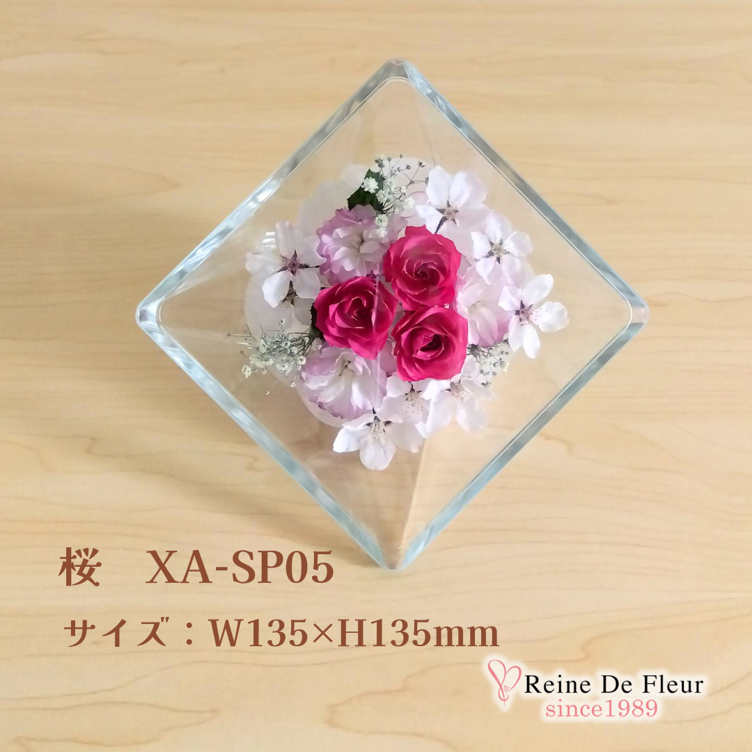 さくら Sui M(XA-SP05)