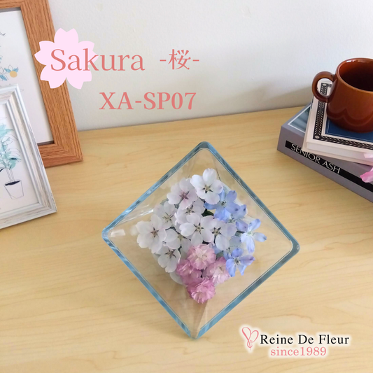 さくら Sui M(XA-SP07)