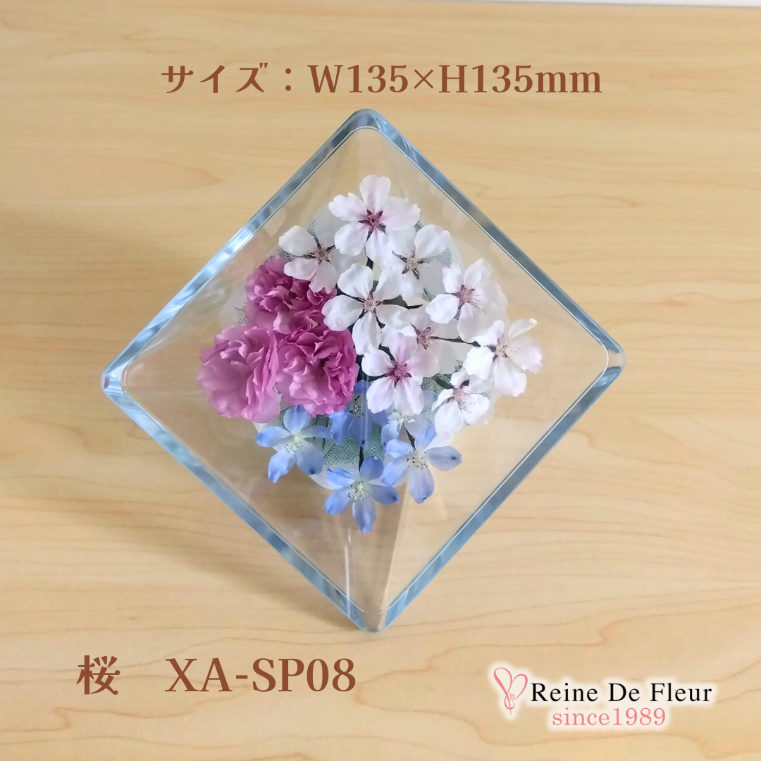 さくら Sui M(XA-SP08)