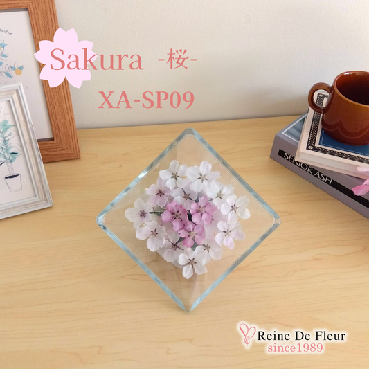さくら Sui M(XA-SP09)