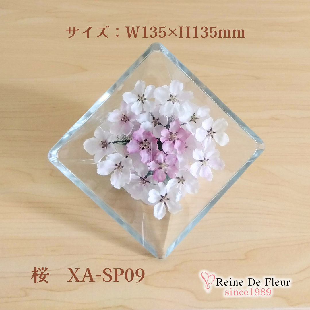 さくら Sui M(XA-SP09)