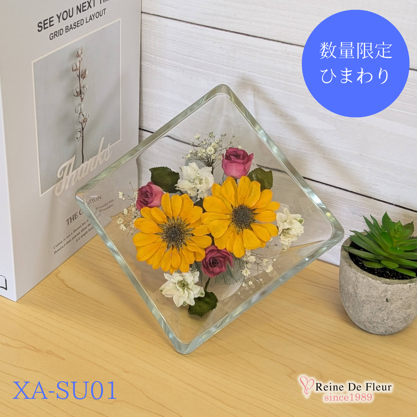 ひまわり Sui M(XA-SU01)