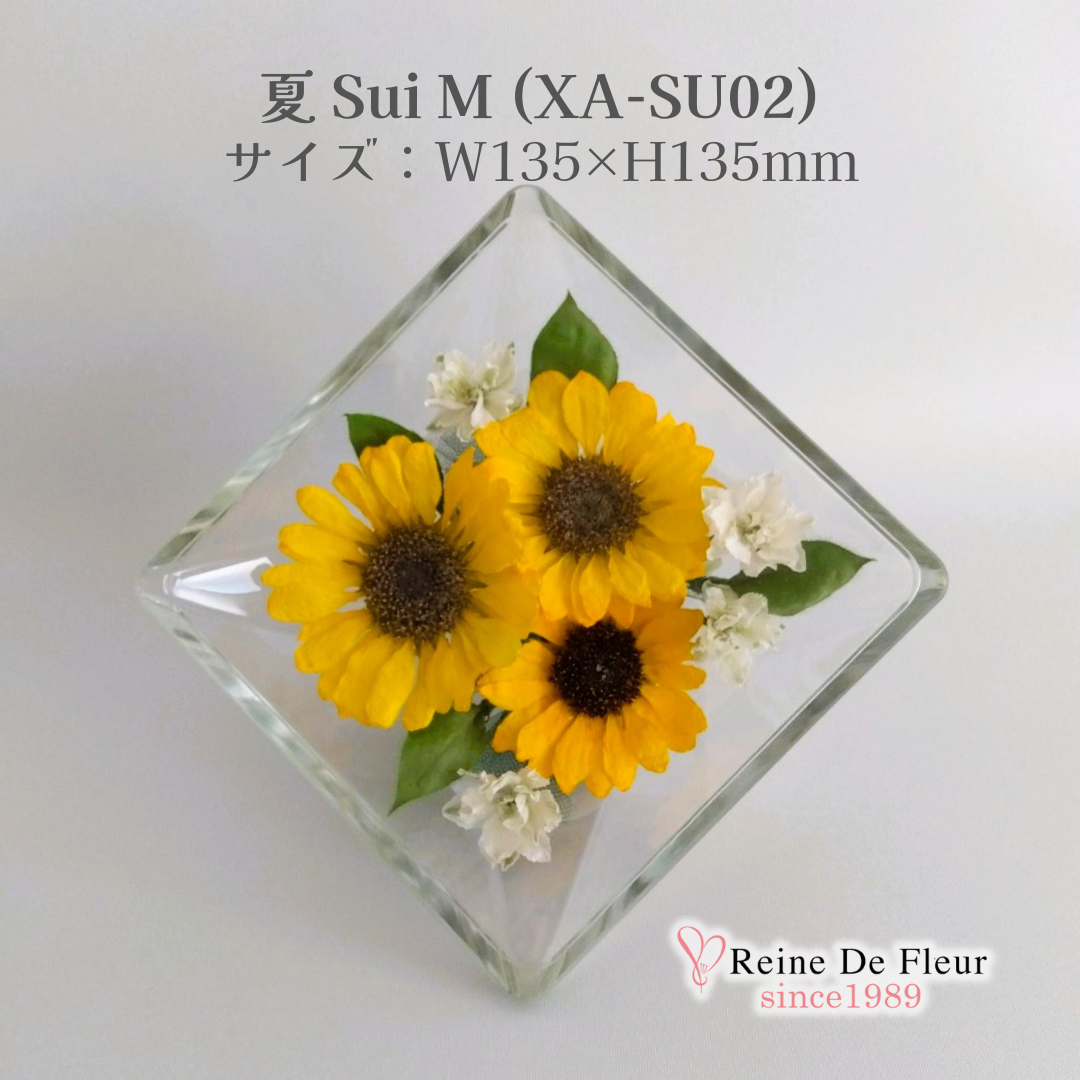 夏 Sui M(XA-SU02)