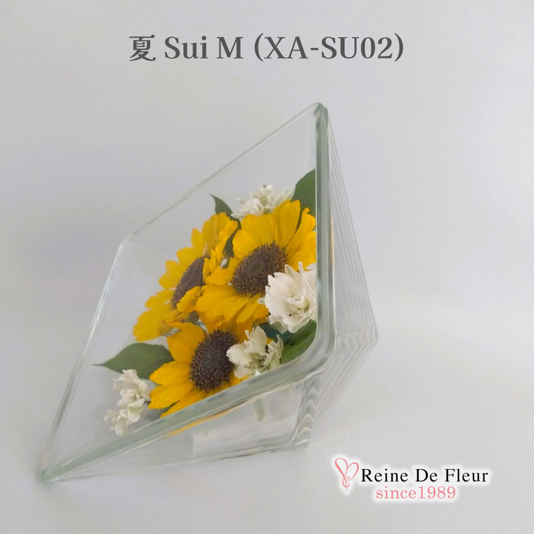 夏 Sui M(XA-SU02)