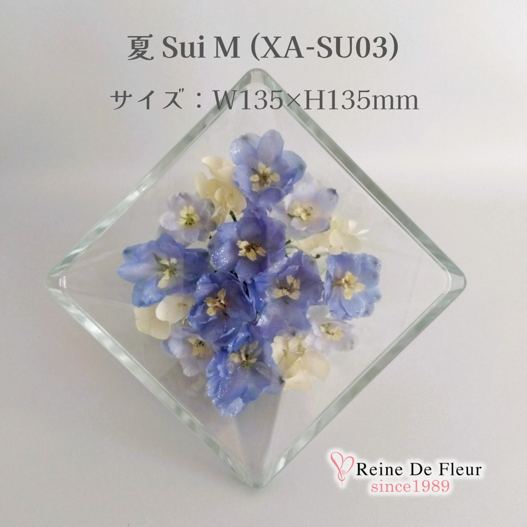 夏 Sui M(XA-SU03)