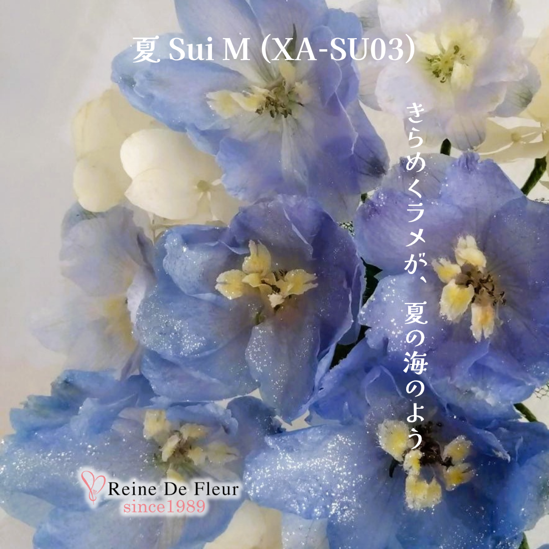 夏 Sui M(XA-SU03)