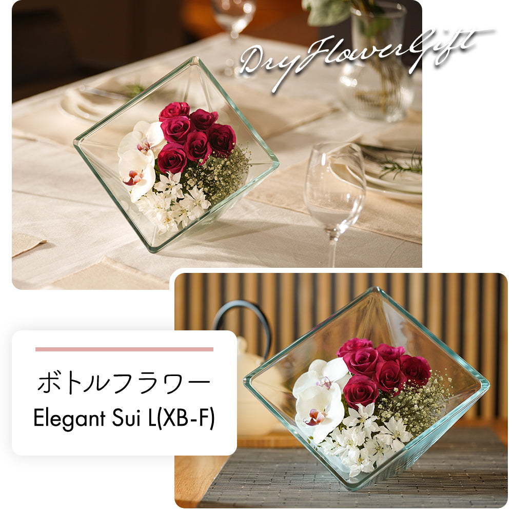 Elegant Sui L(XB-F)