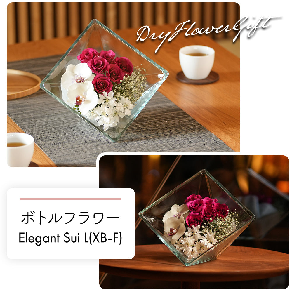 Elegant Sui L(XB-F)